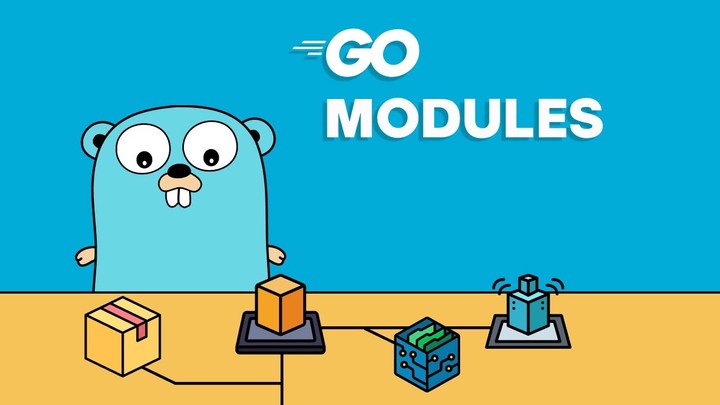 Go - Private Module